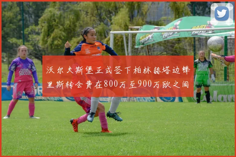 沃尔夫斯堡正式签下柏林赫塔边锋里斯转会费在800万至900万欧之间