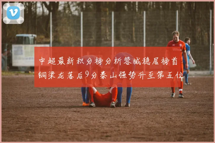 中超最新积分榜分析蓉城稳居榜首铜梁龙落后9分泰山强势升至第五位津门虎积分清零